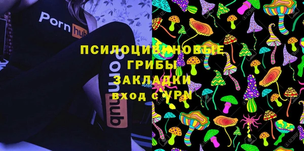 ГАЛЛЮЦИНОГЕННЫЕ ГРИБЫ Баксан