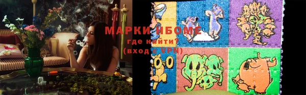 ГАЛЛЮЦИНОГЕННЫЕ ГРИБЫ Баксан
